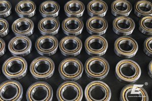 nu-nj-nn-nnu-thrust-axial-radial-zylinderrollenlager-роликоподшипники-tandem-bearing-evolmec-italy-italia-cuscinetto-023